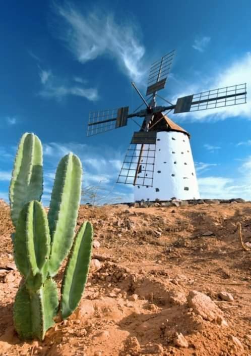 Casita De Lea Daire Costa De Antigua Dış mekan fotoğraf