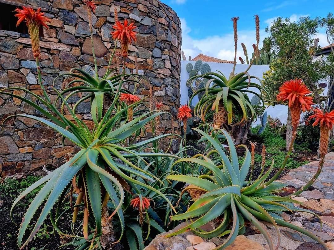 Casita De Lea Daire Costa De Antigua Dış mekan fotoğraf